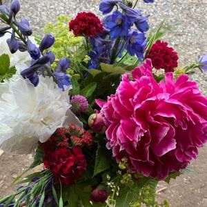 Meet your Posher, Julia